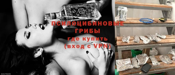 первитин Коряжма
